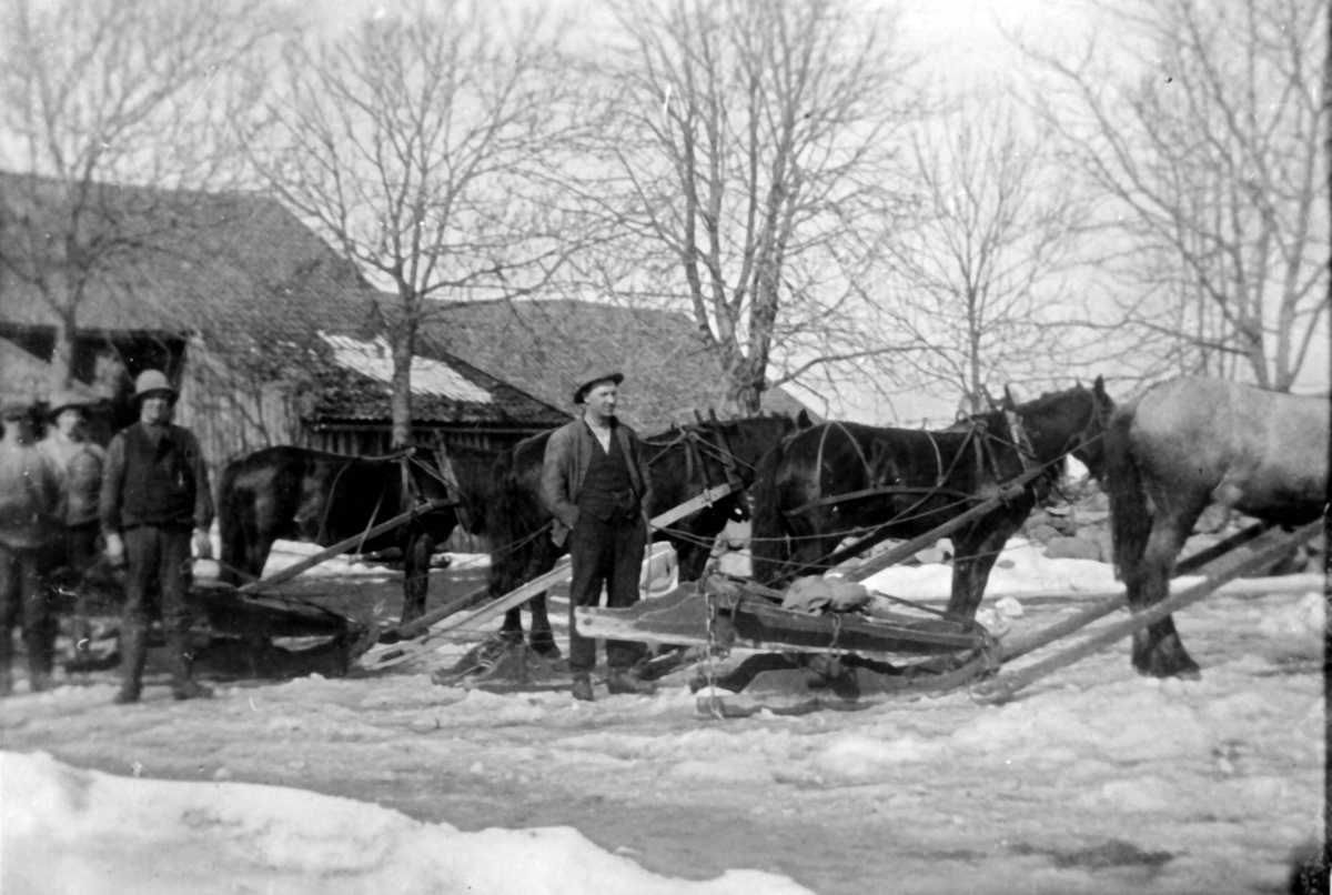 Kjøring av gjødsel med hest og slede på Haugsten gård i Råde