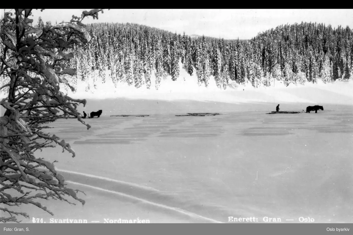 Tømmerkjøring med hest, vinter. Postkort