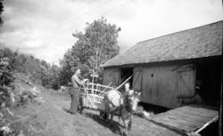 Slåttonn på Åram, Ranvik