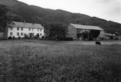 .(Bilder brukt i "Gards- og ættesoge for Nesset").