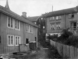 Lochnerkråpet .(Eske B107)