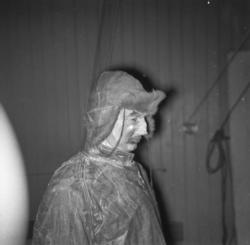 .Parodi på "Roseordenen" i Revehallen.