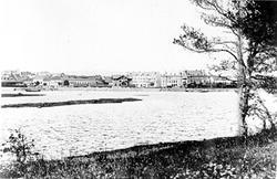 Hamar, bypanorama fra Tjuvholmen, Mjøsflommen i 1895, Hamar 