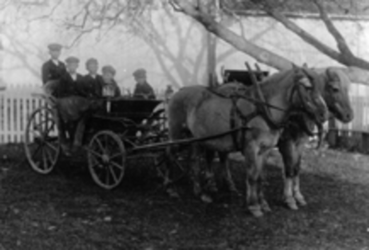 Fem gutter i kørj-trille med tospann hester foran. Fra venstre er Nils Schwabe, Nils Storihle, Hans Storihle, Johan Schwabe, Martin Storihle. Nils Schwabe f. 1899 på hundsvåtta, Nils og Hans Storihle i sætet, Johan Schwbe f. 1904 og Martin Storihle, foran. Hestene heter Blakken og Tassen. Bildet er tatt foran drengstuebygningen.