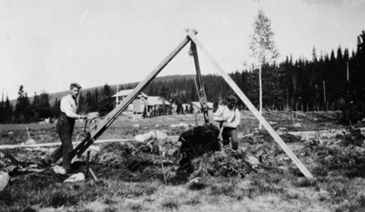 Nybrottsarbeid med stubbebryter på Arnestad søndre, Mesnalia, Ringsaker. Olaf Håkenstad og Johannes Arnestad.