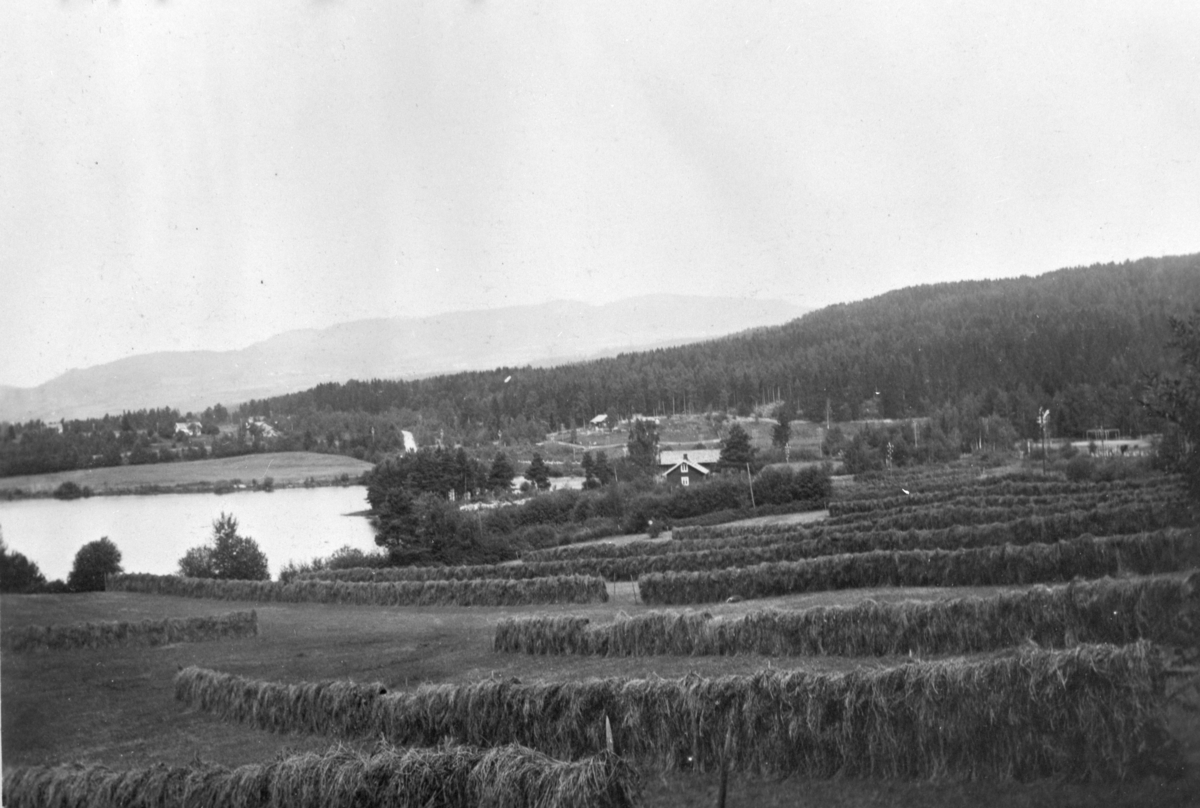 Korgerstuvika ved Moelv. Høyhesjer, slåttonn, landskap. Høyhesjer på Stein gård, 1924