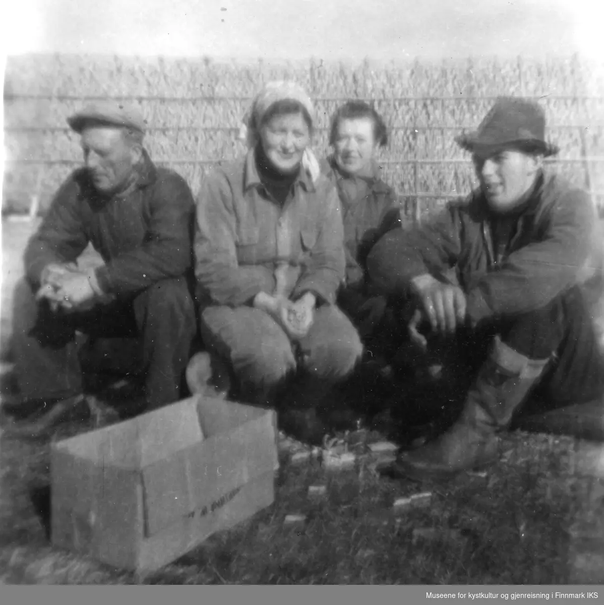 Fra venstre: Sigurd Sivertsen, Lilly Bergheim, Rikarda Kristensen og kaiformann Erling Moldvik. Fullhengt strenghjell/seihersje i bakgrunn på Jessen-raet, der Berlevåg Fiskesamvirke leide hjellgrunn. Ca 1954