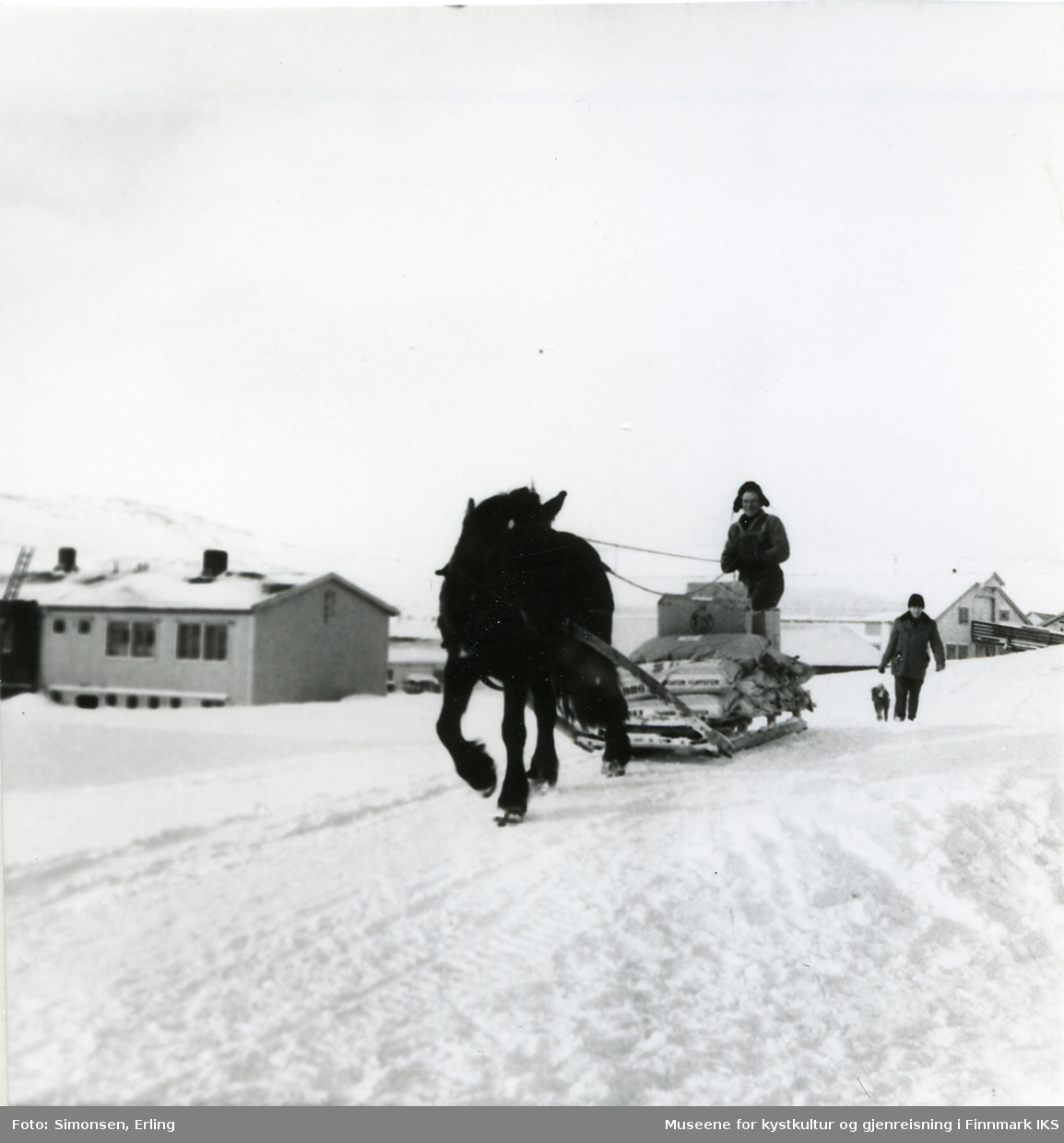 Rolf Martinsen, Mehamn kjører hest og slede, en person går etter veien,vinterbilde