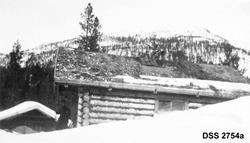 "Imsdalen statsalmg. - Skogvesenets driverstue og stall på G