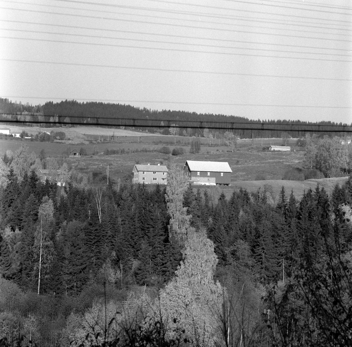 UKJENT GÅRD I VELDRE. 1965. GNR. - BNR. . FOTOGRAF EIVIN LØKKEN. 