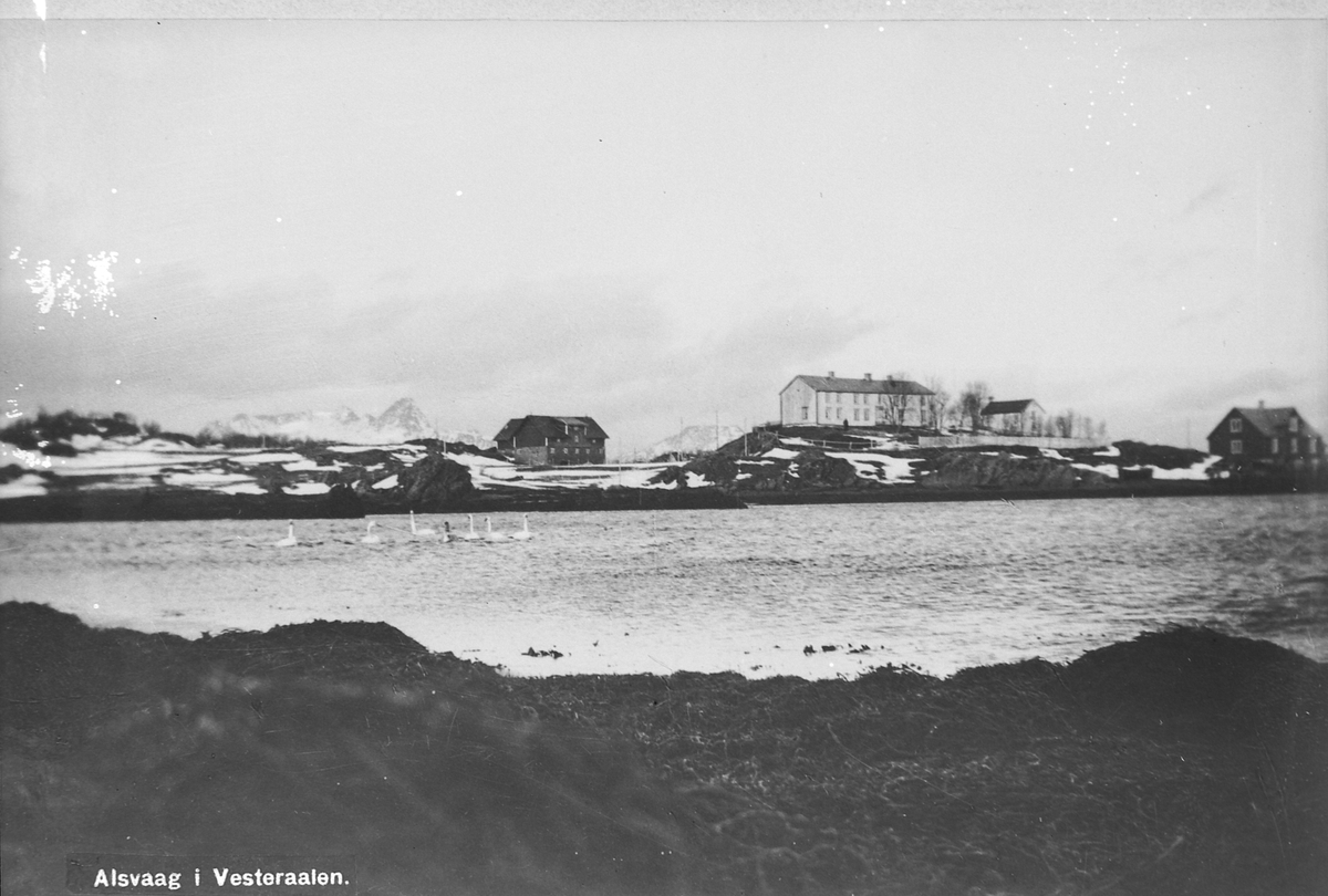 Bilde av gård / handelssted Alsvåg i Vesterålen (kopi)