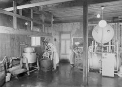 Trønderfrukt på Røra