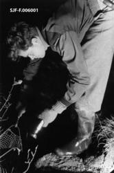 "Videre drev han av og til med lysing i bekkene når det var 