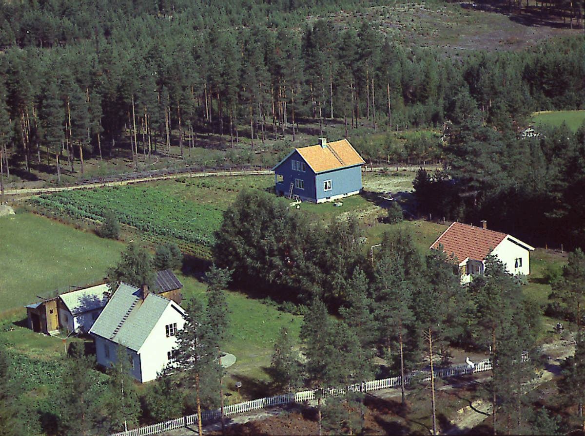 Aasheim (Gnr 55/40) i Heradsbygda (Tassåsvegen 12) i nedre venstre hjørne. Aasborg (Gnr 55/41) til høyre (Tassåsvegen 14). Bak (blått hus) Sollys (Gnr 55/45).