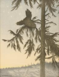 Troldfugl [Litografi]