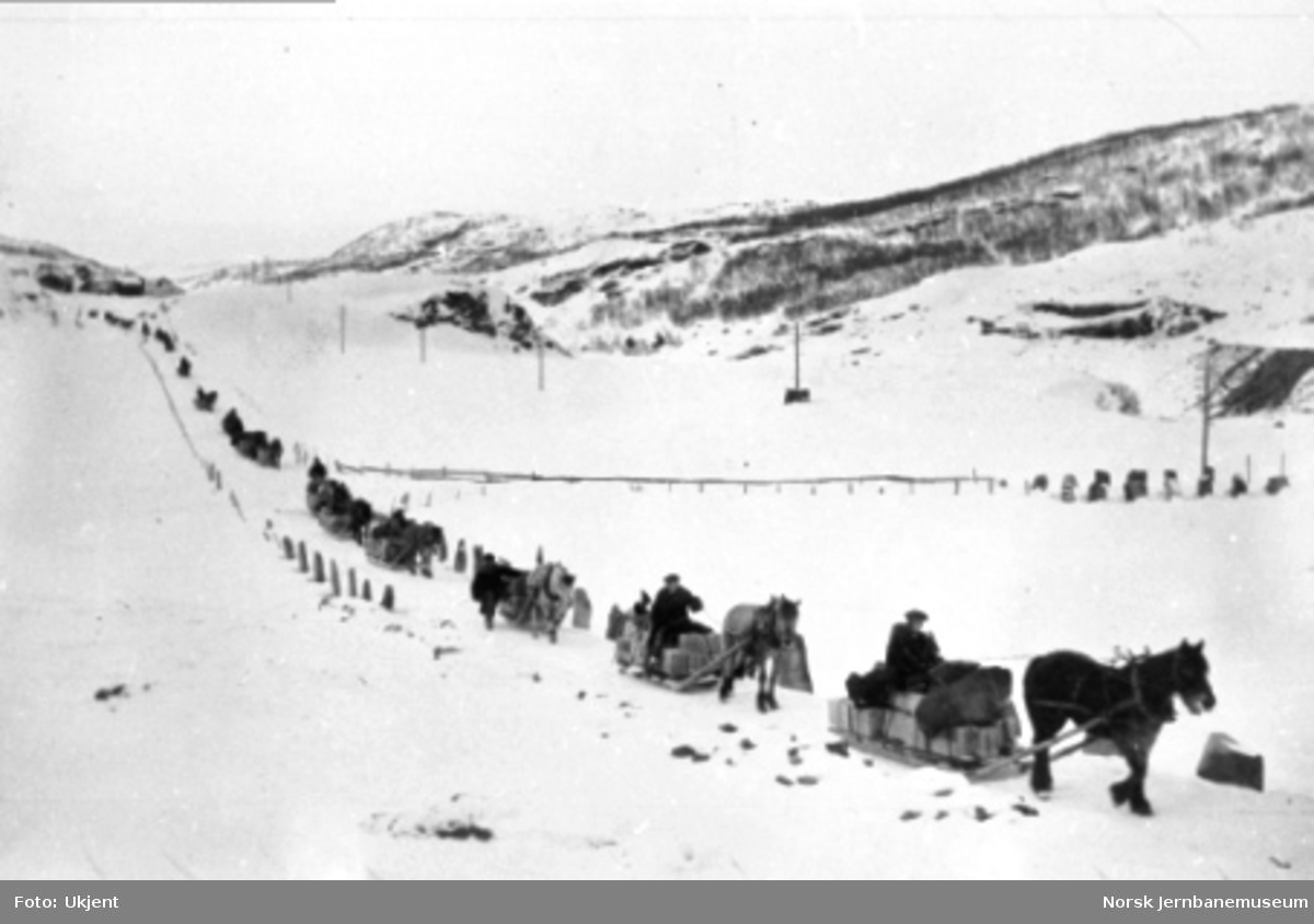 En lang rekke med hester og sleder i dynamittransport ved Kongsvoll; fjellstua i bakgrunnen
