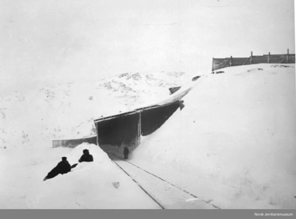 Snøoverbygg og snøskjermer på Ofotbanen