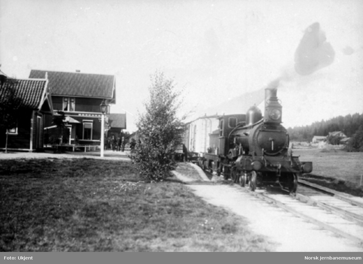 Damplokomotiv type 9a med tog på Arneberg stasjon