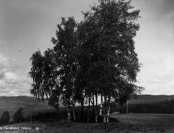 v/ Breidablikk Hotell