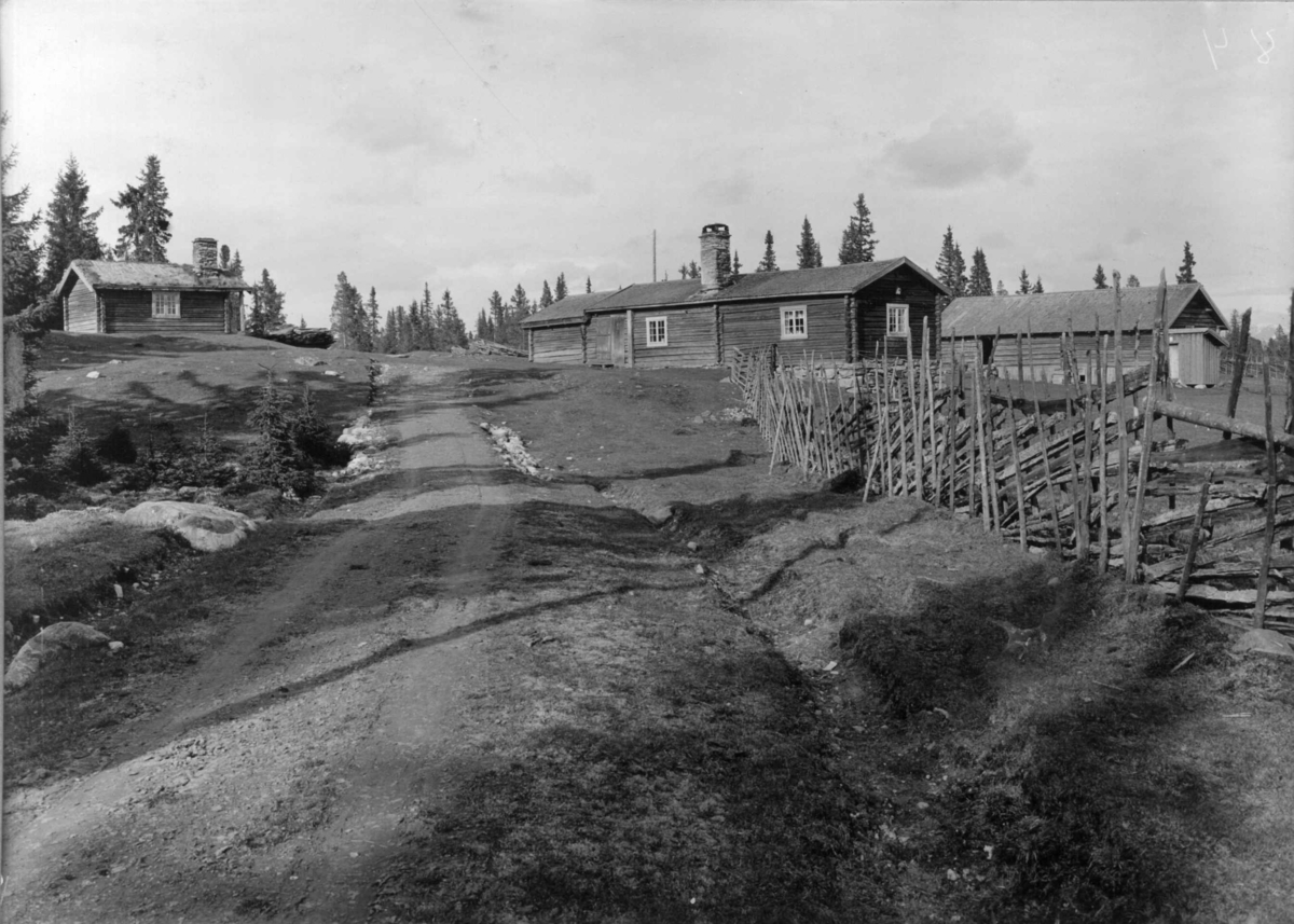 Øvre Rendal, Nord-Østerdal 1920 årene. Seterbuer, vei, skigard.