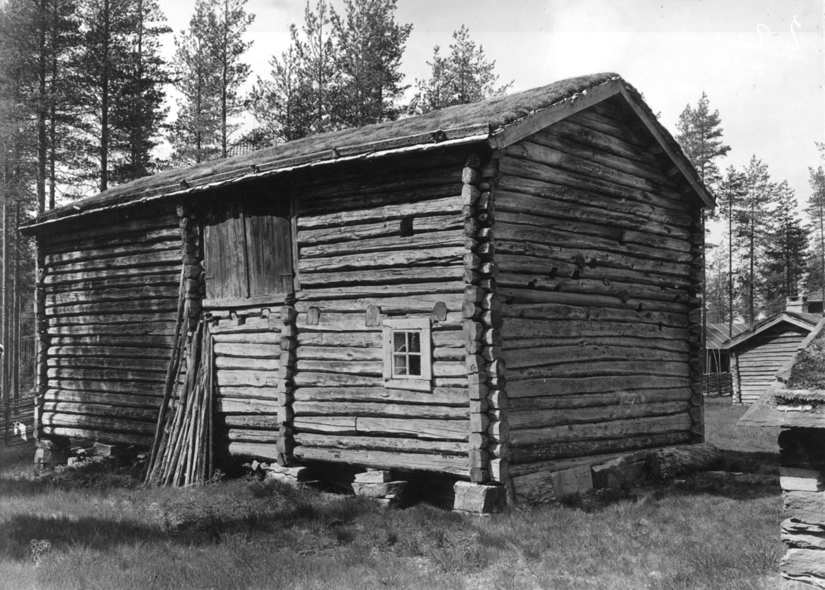 Oldertrøen, Tynset, Nord-Østerdal, Hedmark i 1920-årene. Stallåve. Nå på Glomdalsmuseet.
