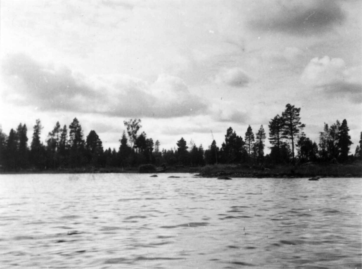 Frakting av høy med båt. Egelatj-sjøen 1948.