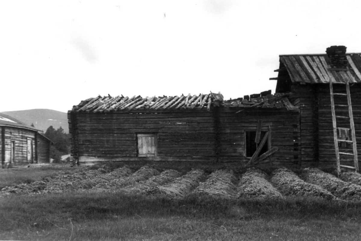 Boligen på Ylikyrö gård ved Pallas 1958.
