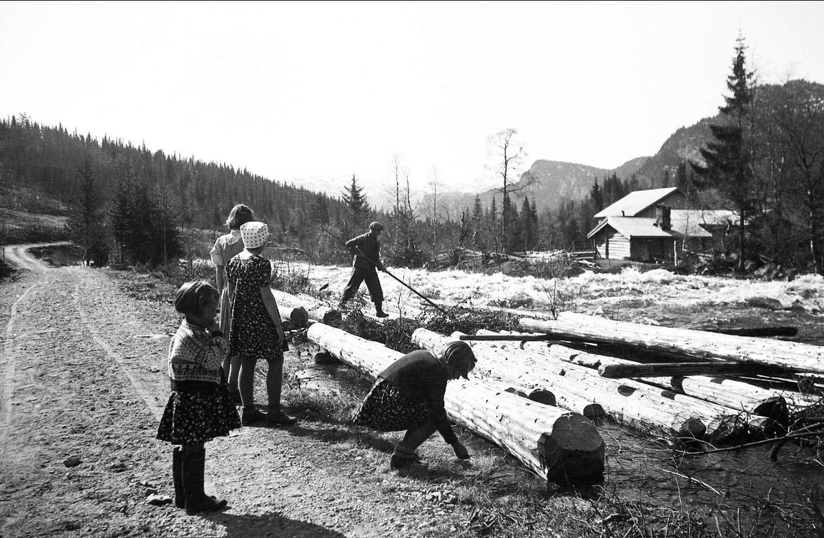 Tømmerfløting i Haglebuelva 1940. Søstrene Arentz står og ser på at en mann ruller stokker ut i elva.