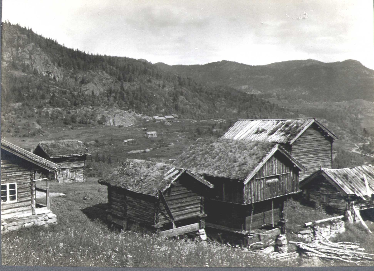 Gårdstun, Kultan, Åmotsdal, Seljord, Telemark. Fotografert 1913.