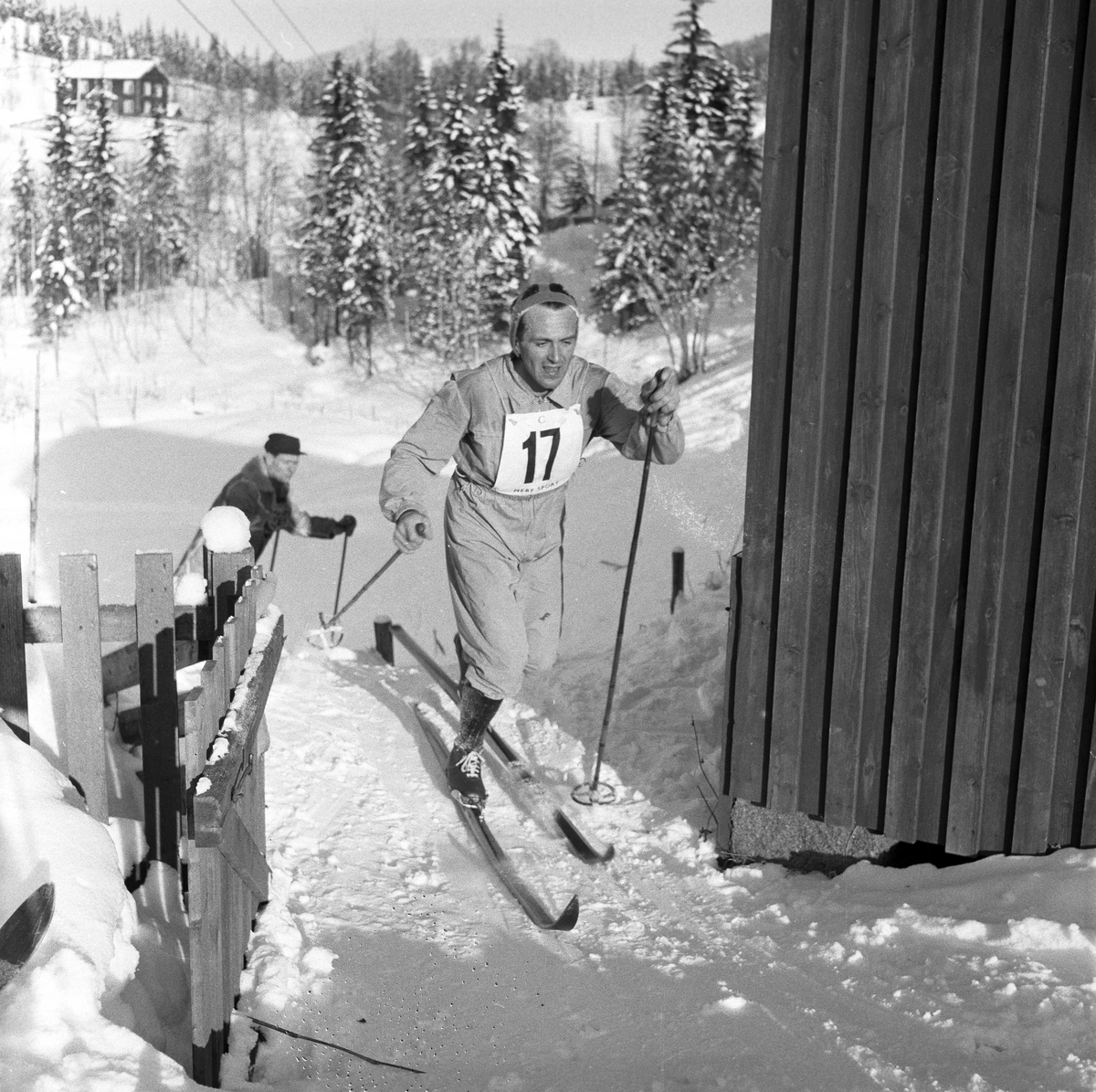 Serie. Skiløperen Halgeir Brenden konkurrerer og jobber som skogsarbeider. Fotografert 1955.