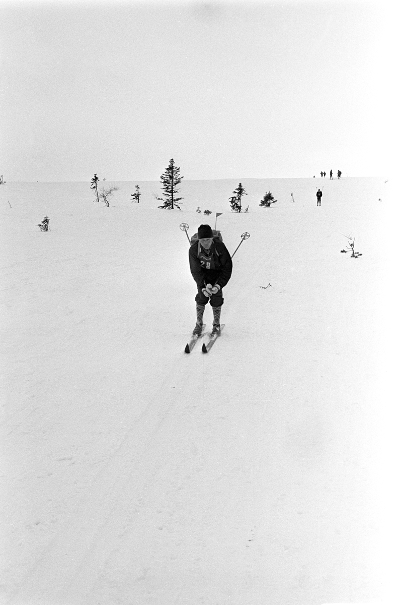 Deltakere i sporet under Birkebeinerrennet fra Rena til Lillehammer 1963.