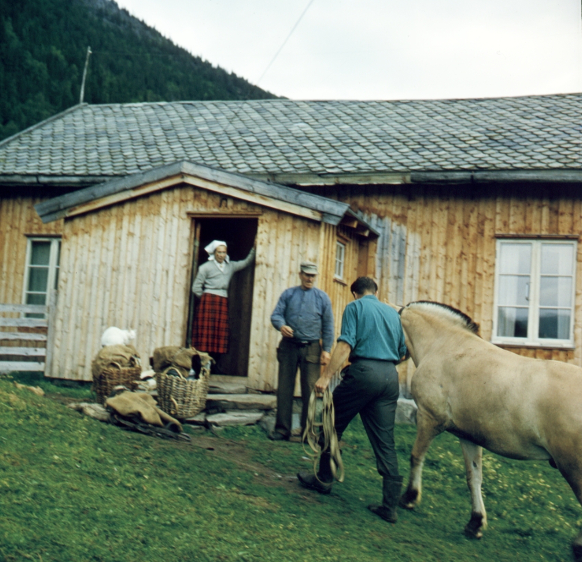Buføring hos Eilif Hefte i Ål i Hallingdal, 1963.
