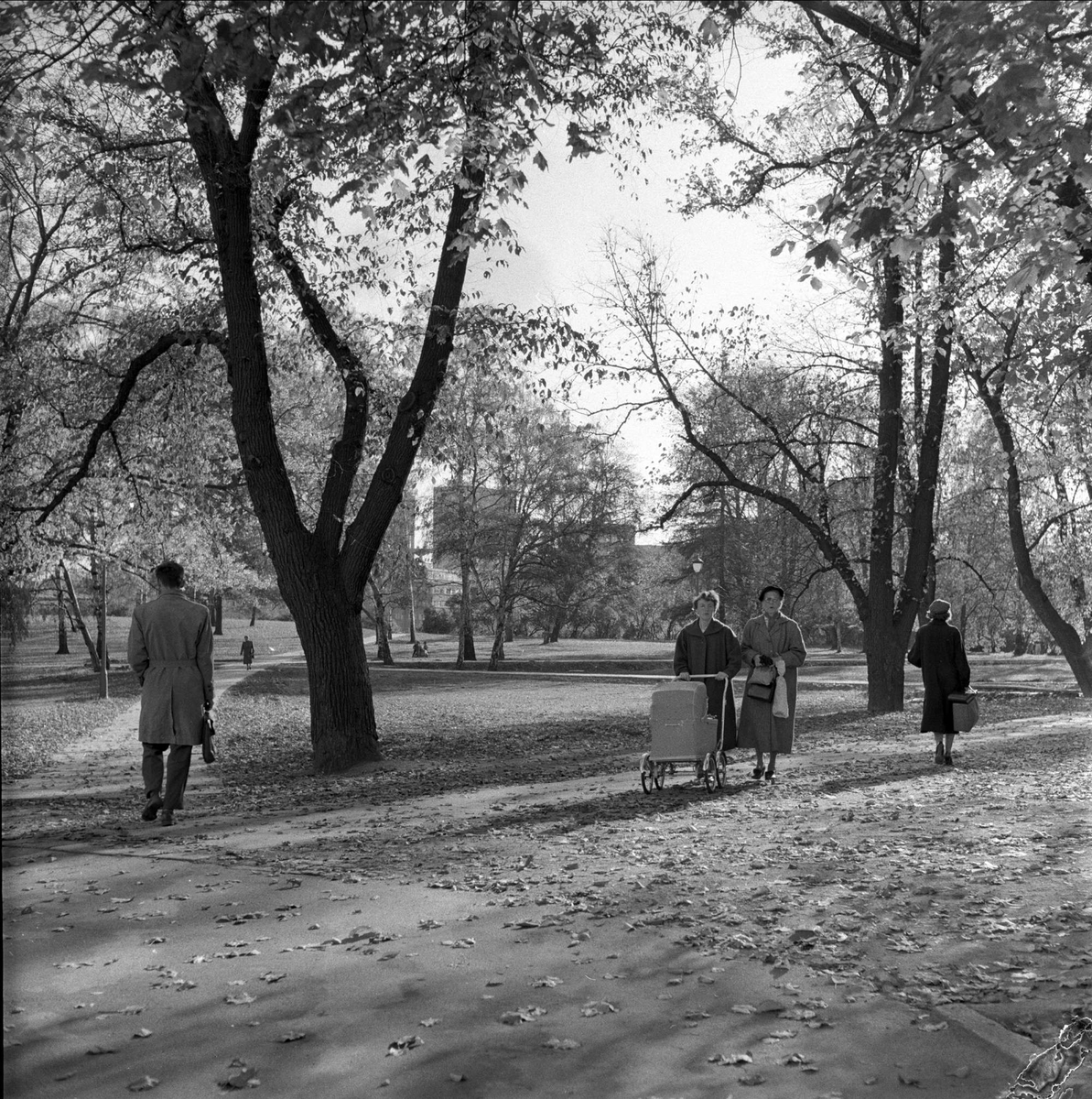 Slottsparken, folkeliv, Oslo, 12.10.1956