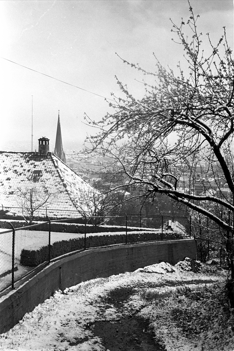 Snø i mai, Norge, 18.05.1965. By med snø.