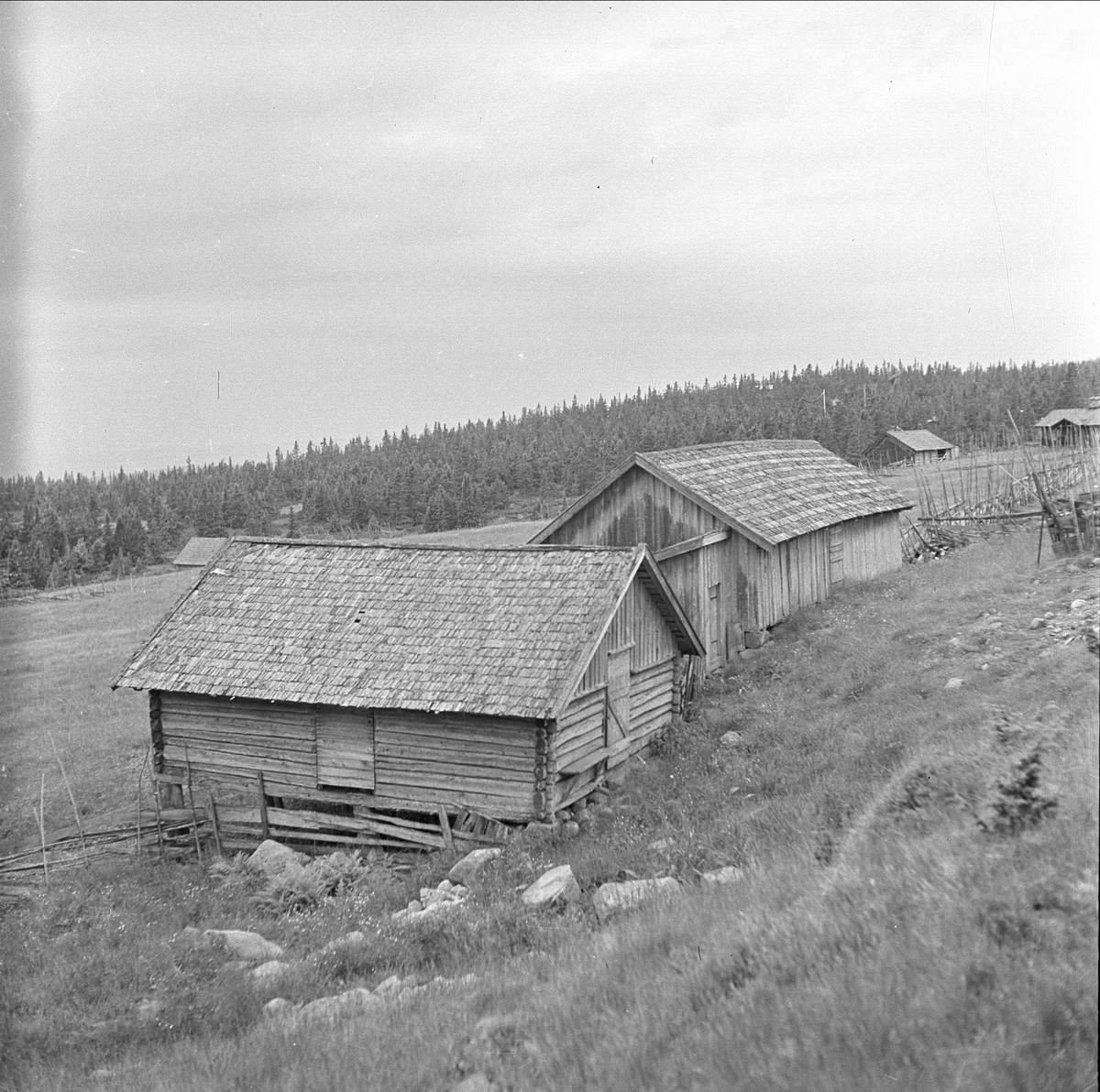 Sjusjøen, Ringsaker, Hedmark, juli 1954. Gamle seterbuer.