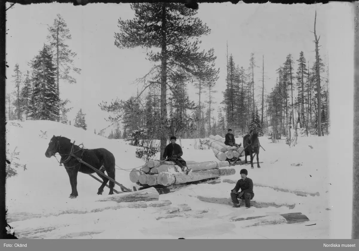 Timmerkörning i vinterskog. Två hästar och tre män. Ovanmyra, Dalarna.
