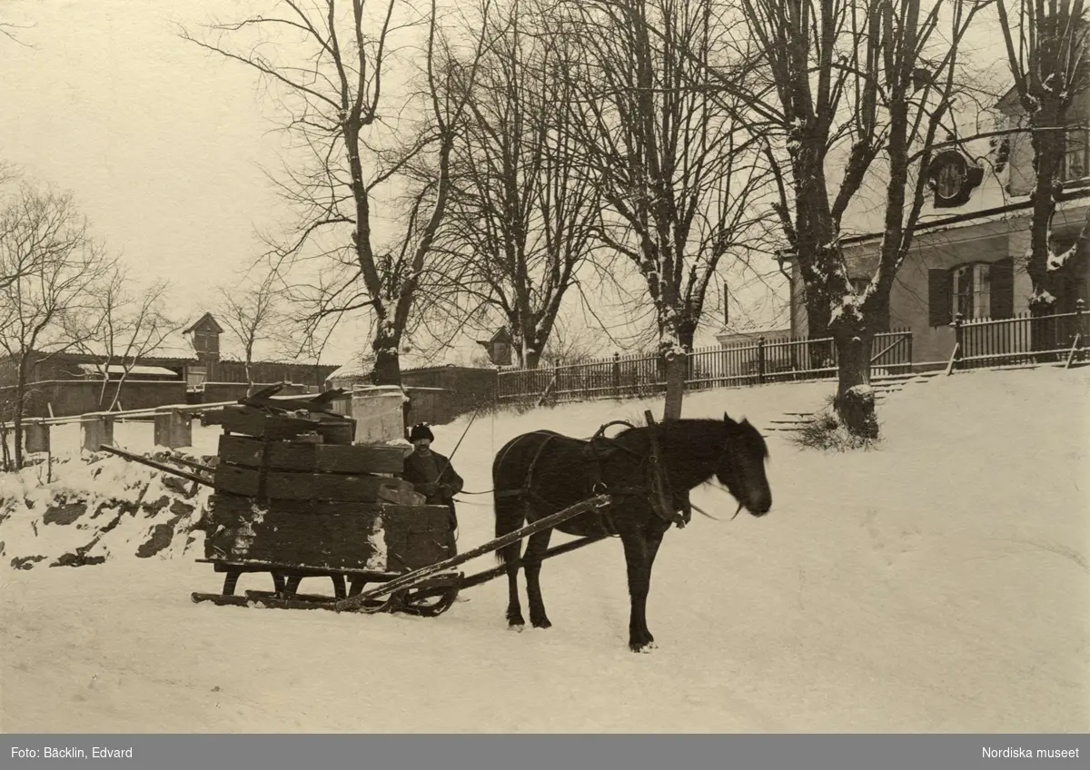 Vid Bellevue, 1901. Häst med fullastad släde.