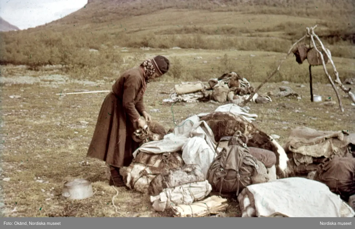 Klövjebördorna ordnas, en kvinna hanterar packning. Sitojaures västra ände, Jokkmokk, 28 juni 1947.
