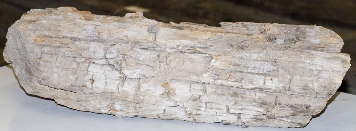 12 större delar av trä till brunn, väggvirke och trappsteg. Fem mindre fragment, som sannolikt har lossnat från någon eller några av de större delarna. Vissa av delarna är av ek, andra av ett annat träslag.

Träet är mycket torrt och skört, skadas lätt vid hantering.