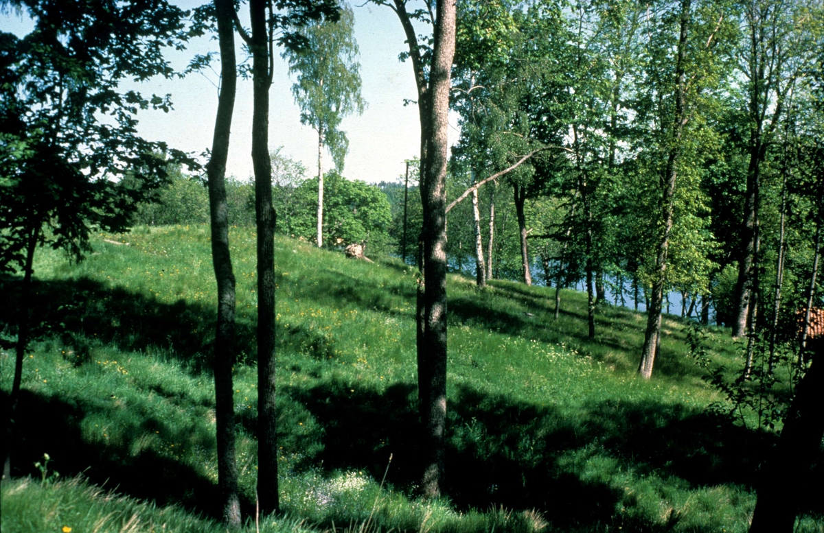Fornlämning, Signhildsberg, Håtuna socken, Uppland 1986