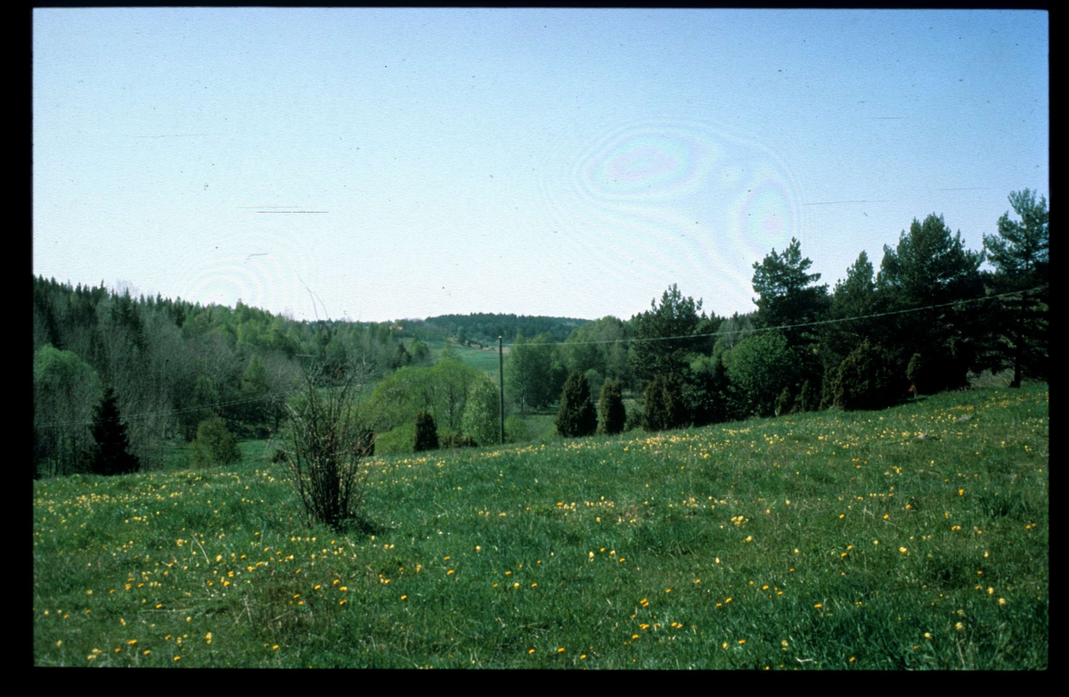 Långhundraleden från Malmbygravfältet, Närtuna socken, Uppland 1987