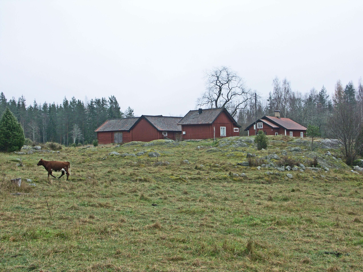 Gårdsbebyggelse från nordväst, Risön, Österlövsta socken, Uppland 2008