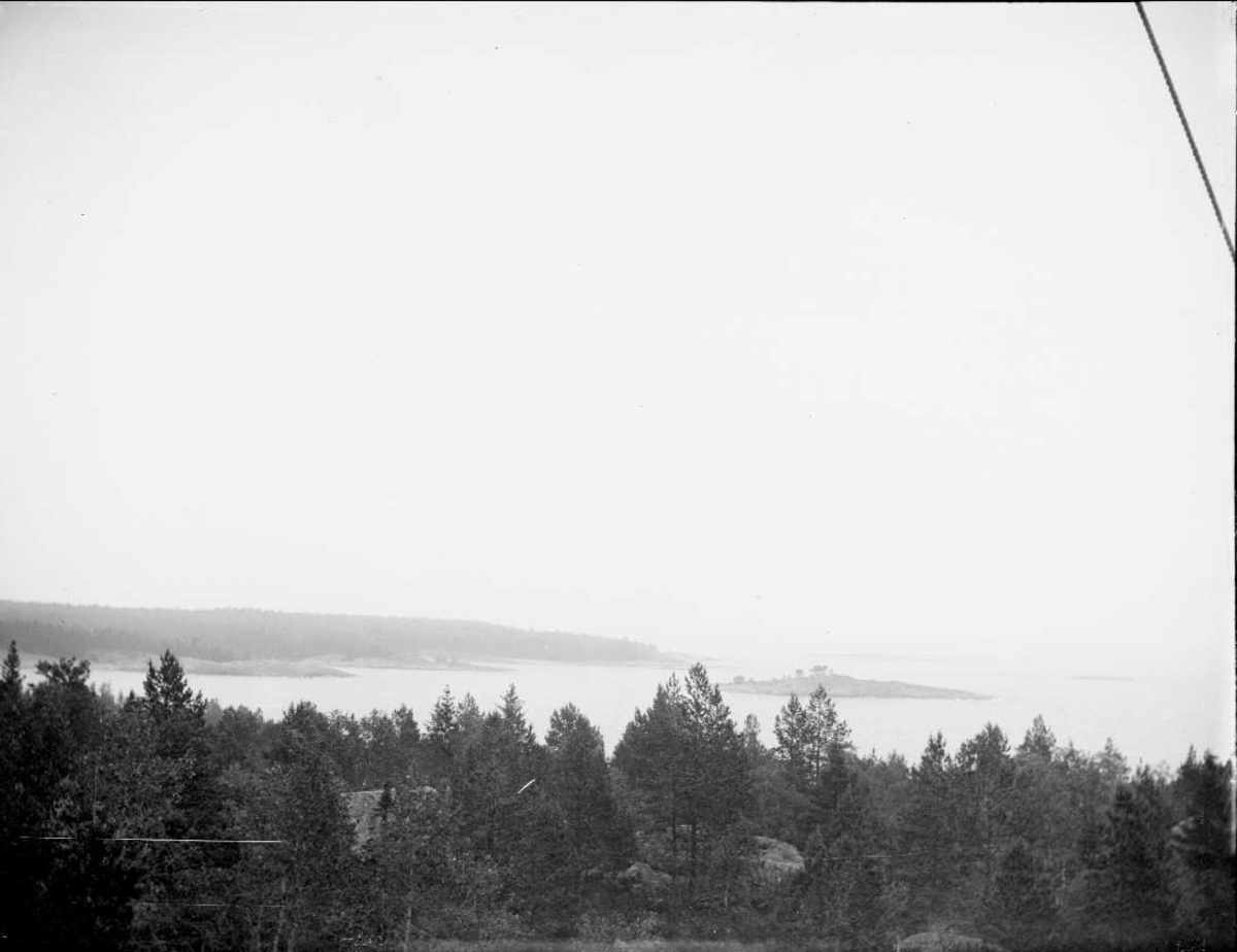 Havskust vid Grisslehamn, Väddö socken, Uppland juli 1915