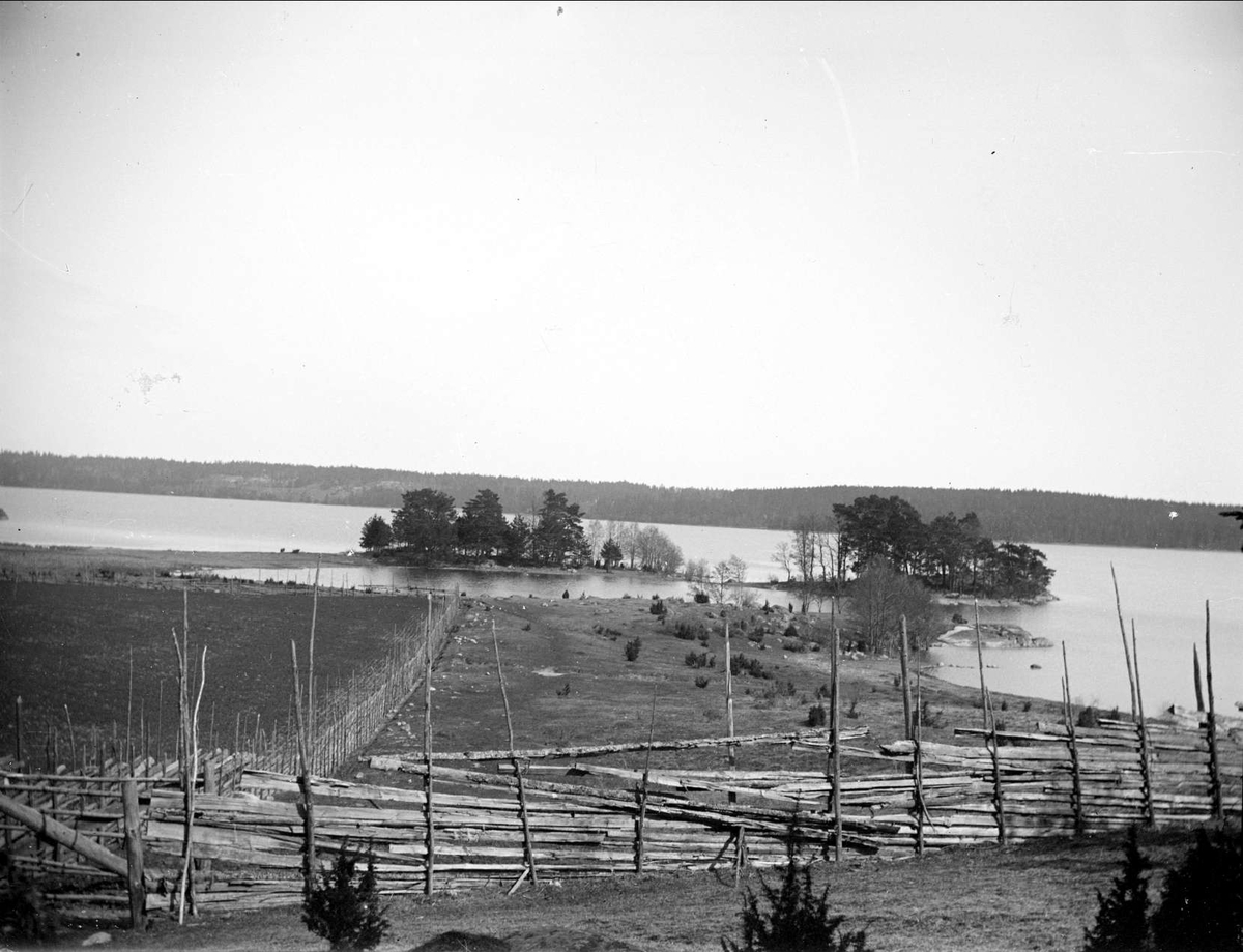 Inhägnade marker, sannolikt vid Kalmarviken, Mälaren, Kalmar socken, Uppland i april 1918
