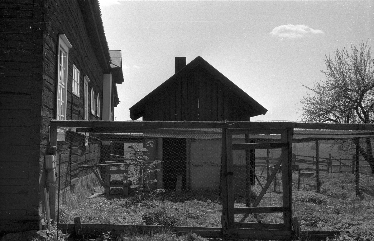 Hönshus, Sätuna gård, Björklinge socken, Uppland 1976