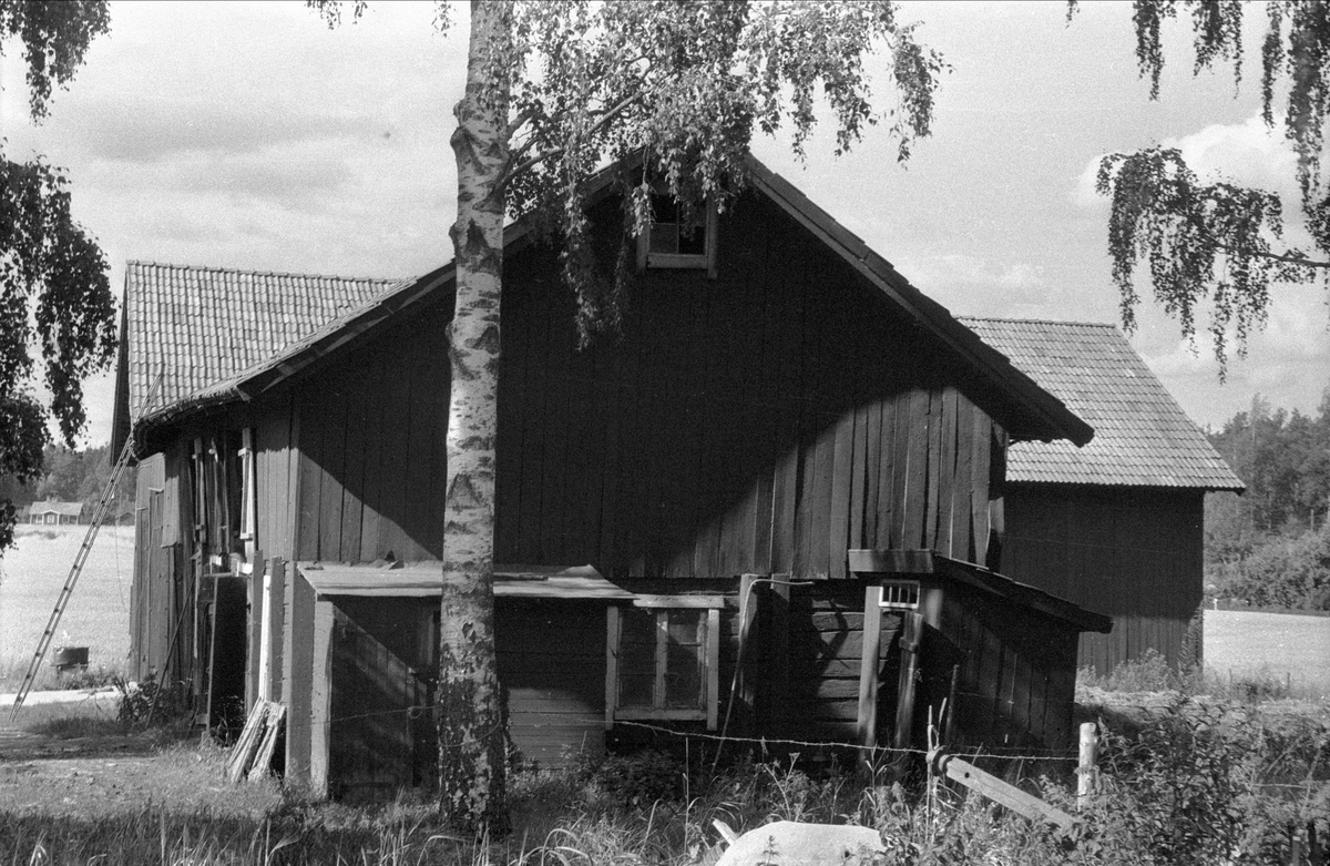 Ladugård, lada och lider, Nederbacka 1:3, Ärentuna socken, Uppland 1976