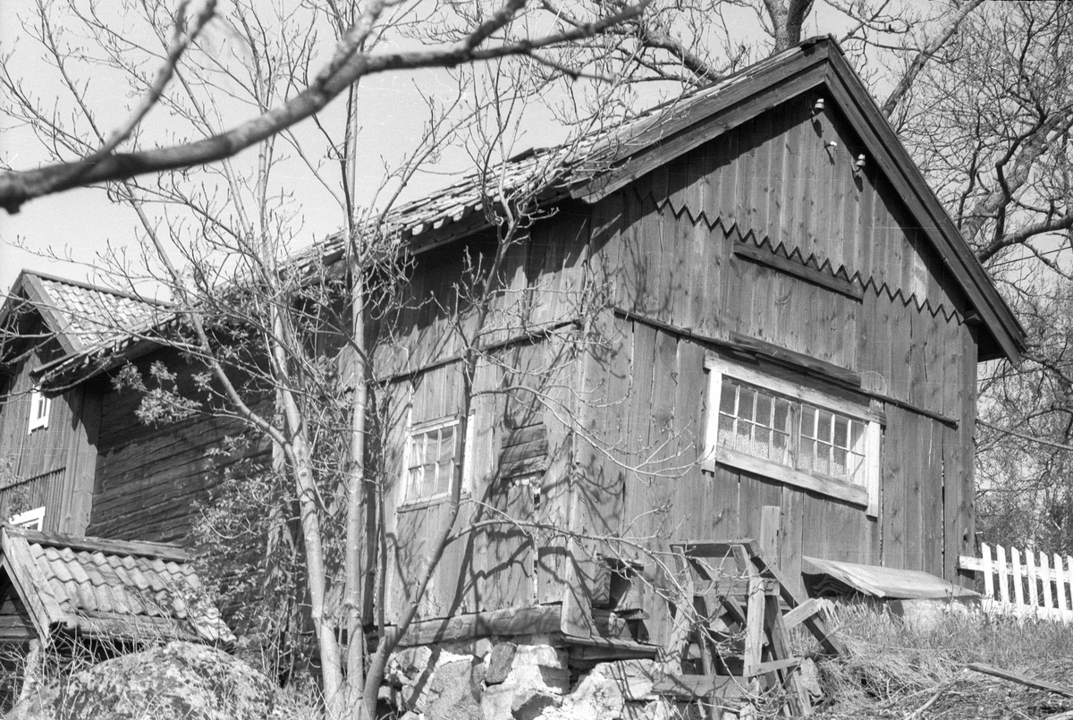 Bod med jordkällare och före detta hönshus, Spånghagen, Grindtorp, Lena socken, Uppland 1977