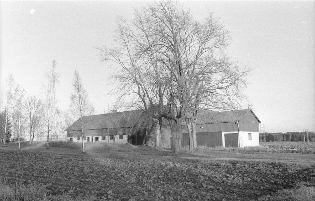 Ladugård/hemlighus och lider, Gamla Uppsala 79:1, Bredåker, Gamla Uppsala socken, Uppland 1978