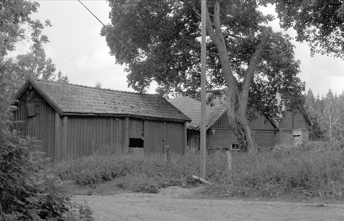 Ekonomibyggnader, Enbyle, Rasbo socken, Uppland 1982