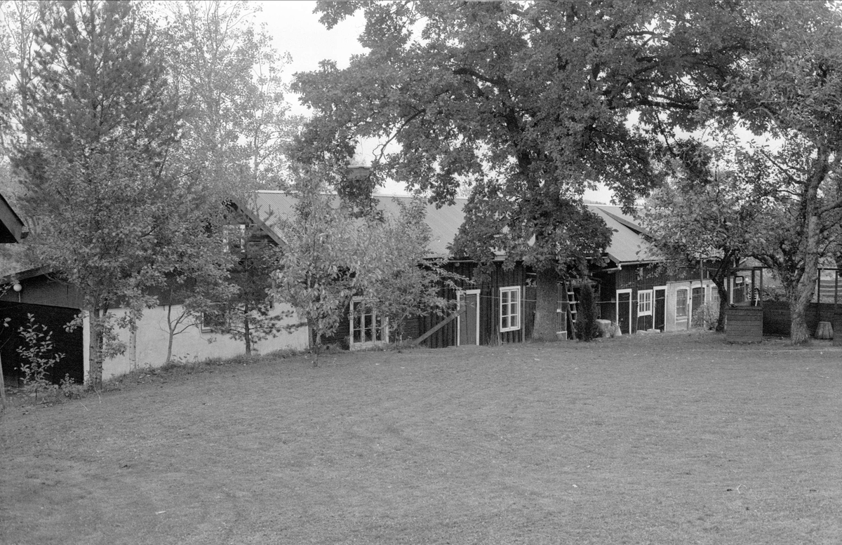 Garage, uthuslänga och ladugård, Oxsätra 4:1, Bälinge socken, Uppland 1983